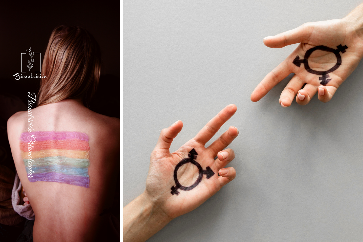 Nutrición ortomolecular en los procesos transgénero - Bionutrición Ortomolecular