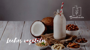 Leches vegetales- Bionutricion Ortomolecular 1