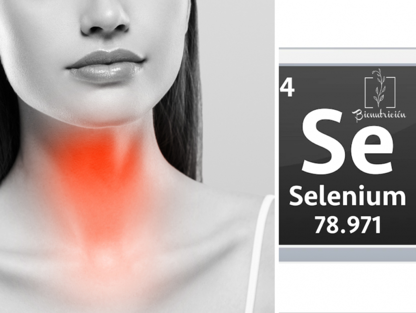 Selenio apoyo a la tiroides - Bionutrición Ortomolecular